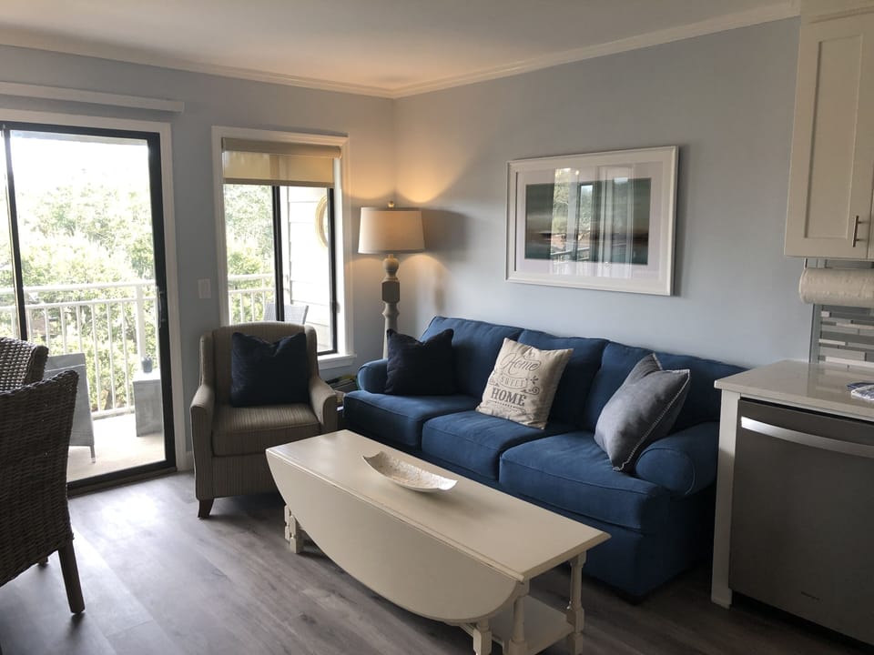 New furnishings in living room with large queen size pull out sofa bed