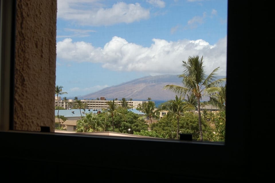 View from the Kitchen Window