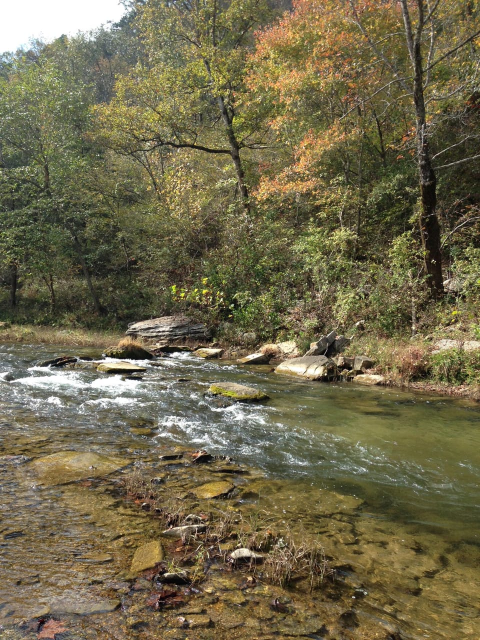 ANOTHER SHOT OF PINEY CREEK UPSTREAM--ENJOY THE SOOTHING SOUNDS  OF THE CREEK!!