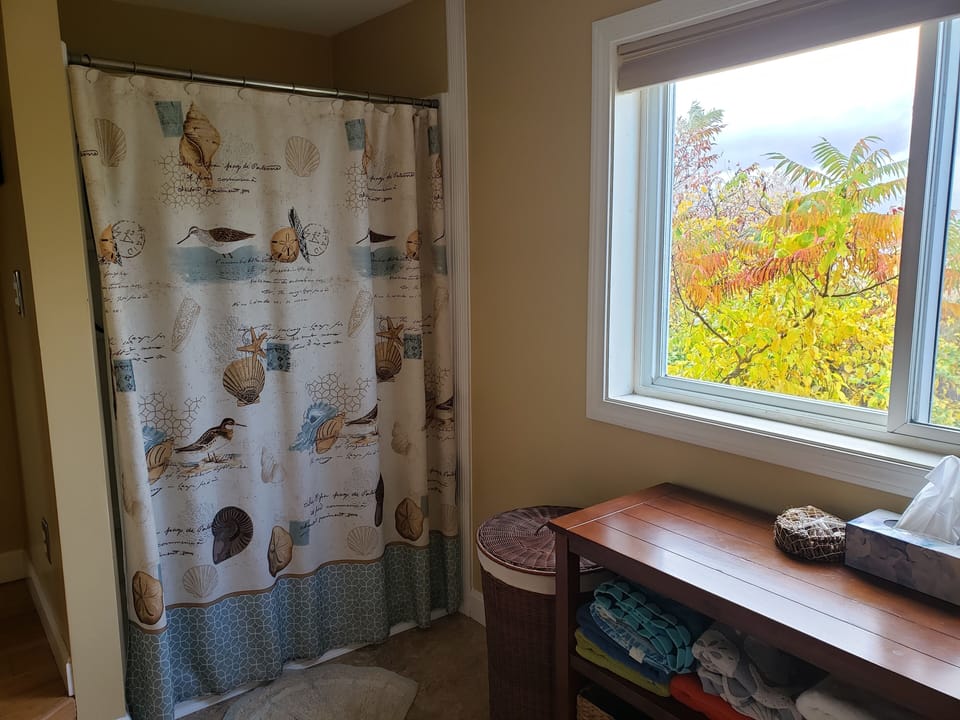 Downstairs bathroom with shower