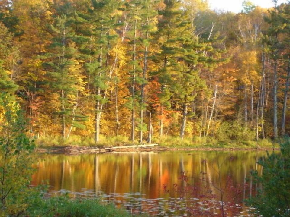Lake in the fall.
