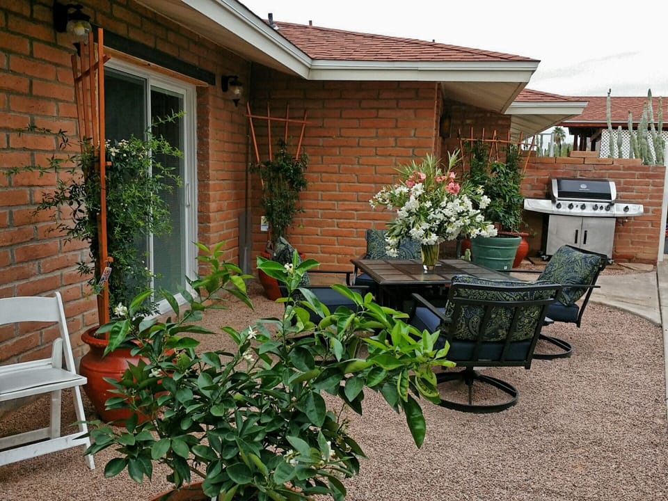Back yard