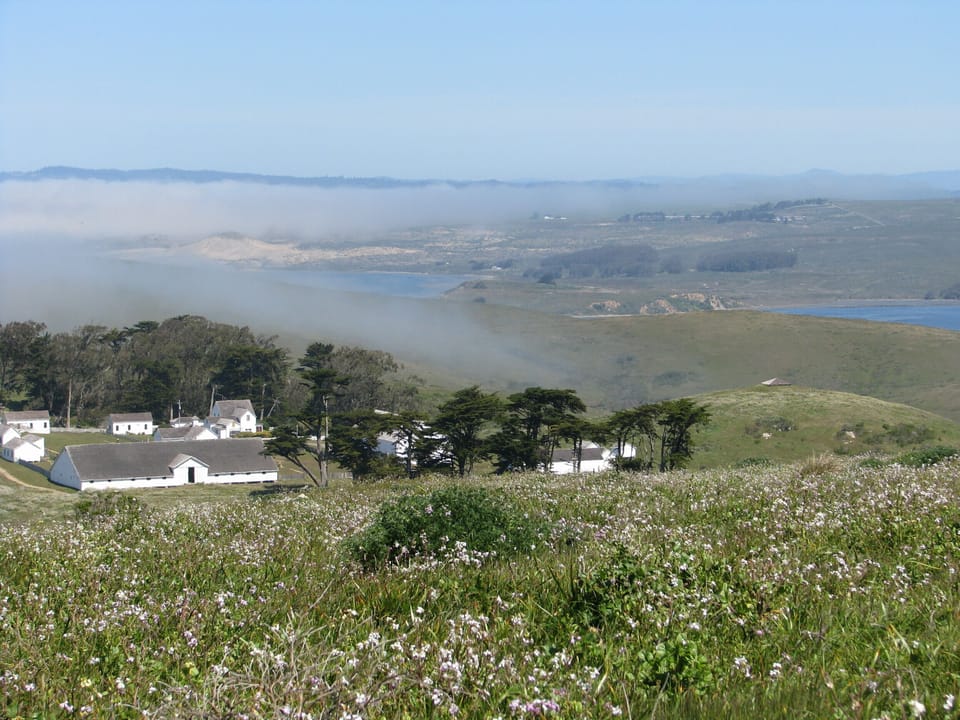 Hiking in nearby Pt Reyes 