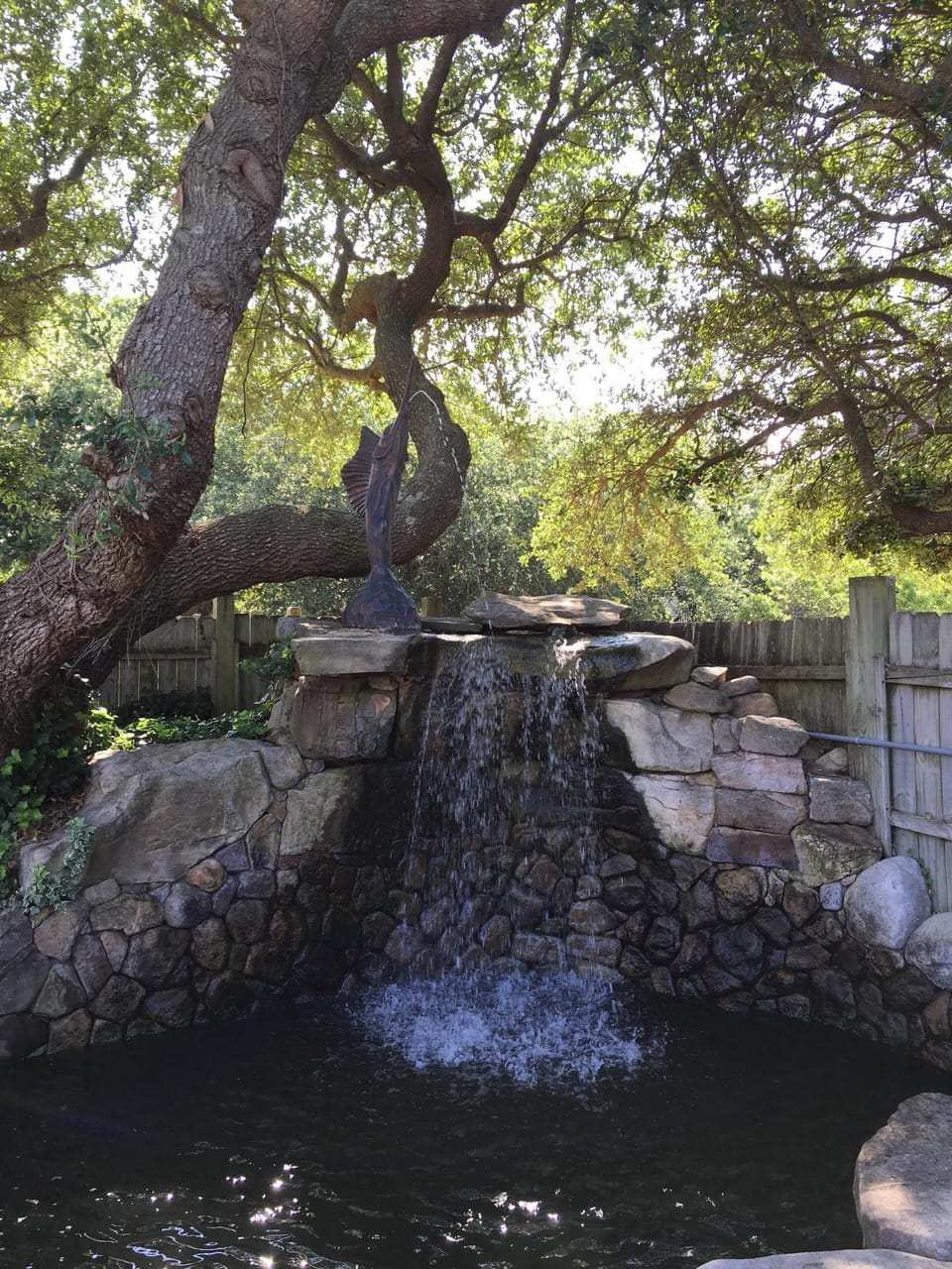 Relaxing  fish pond