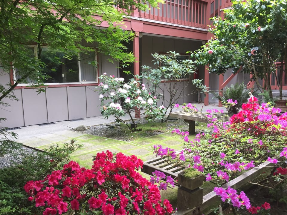 Ground floor unit with courtyard out the entry way