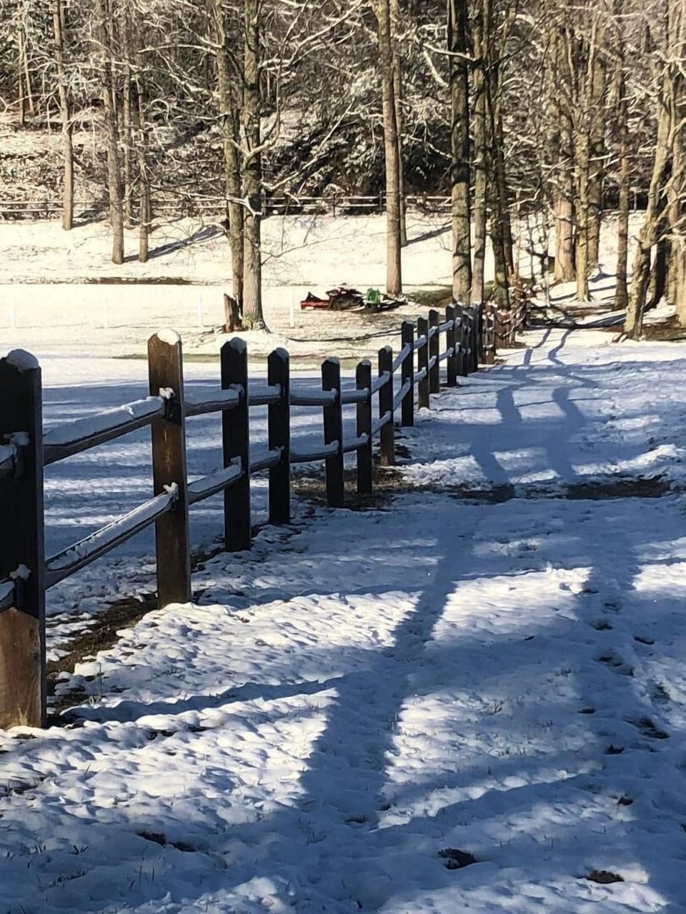 Walking path during winter