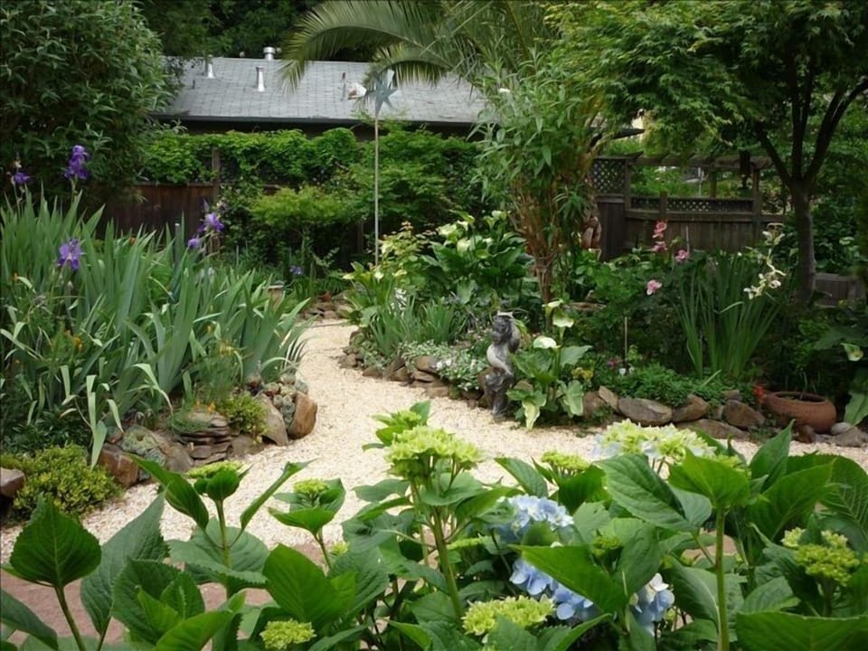 Shared garden to delight and enhance your visit.
