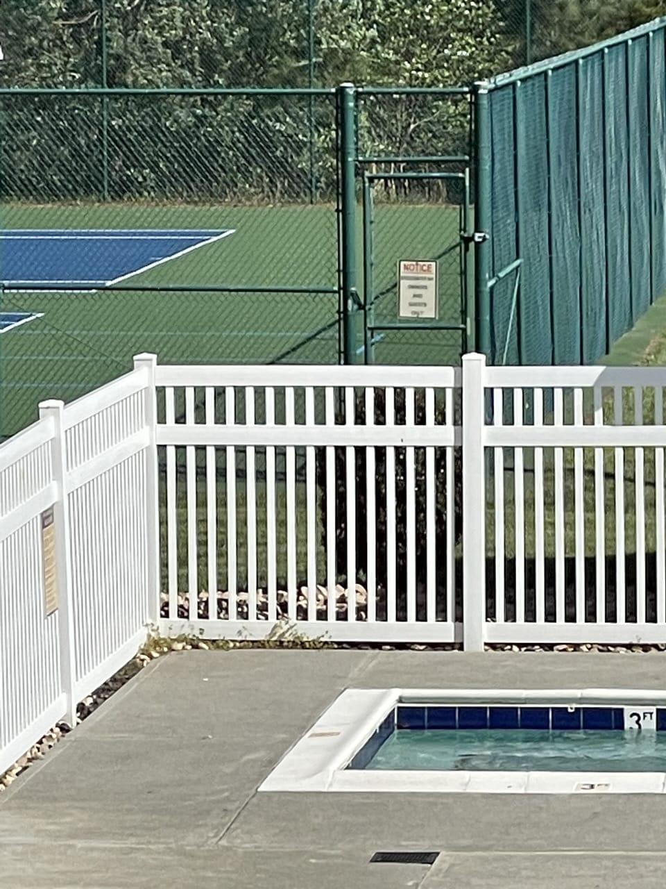 Tennis courts and hot tub at clubhouse