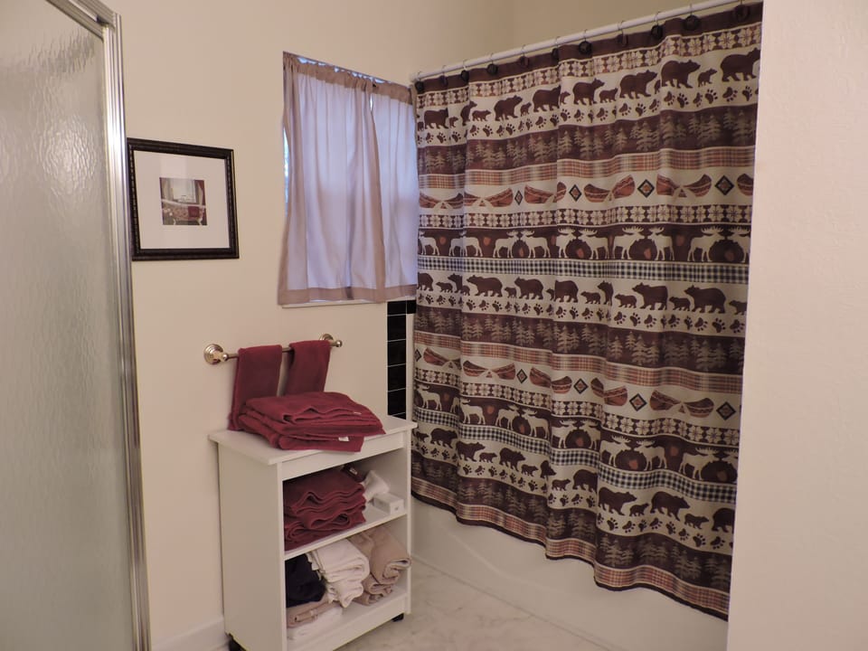 Master bathroom