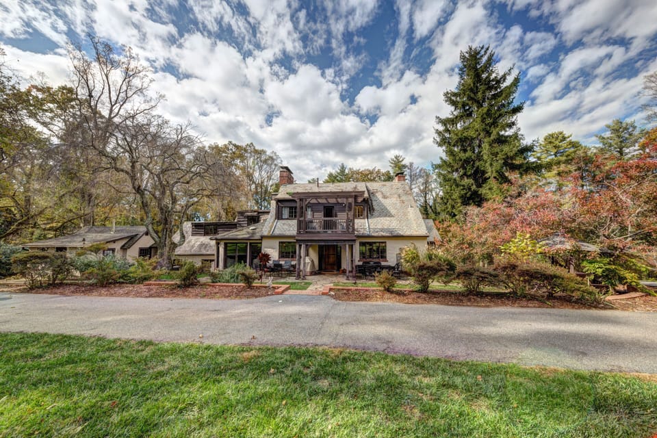  View from the back yard