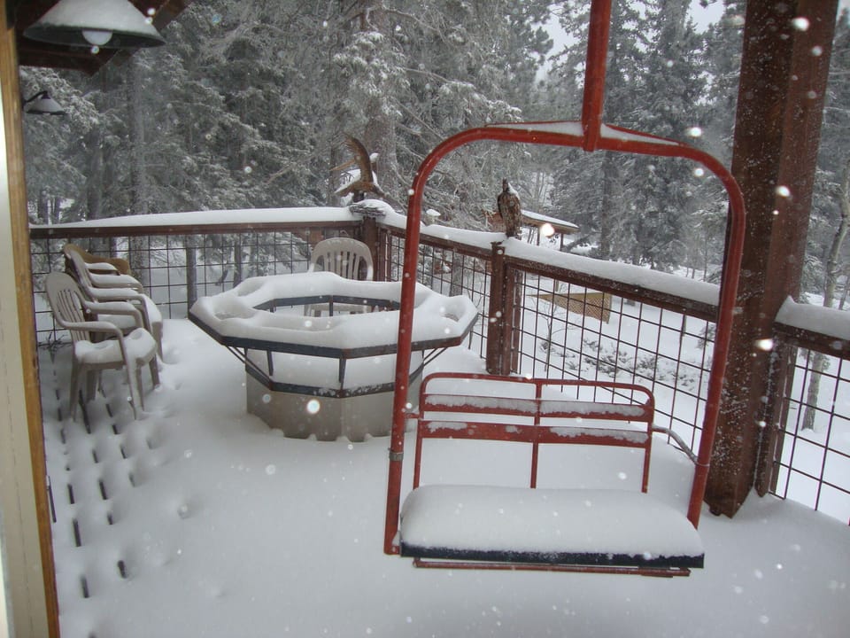 Deck with firepit (and table surround), hanging ski lift chair.