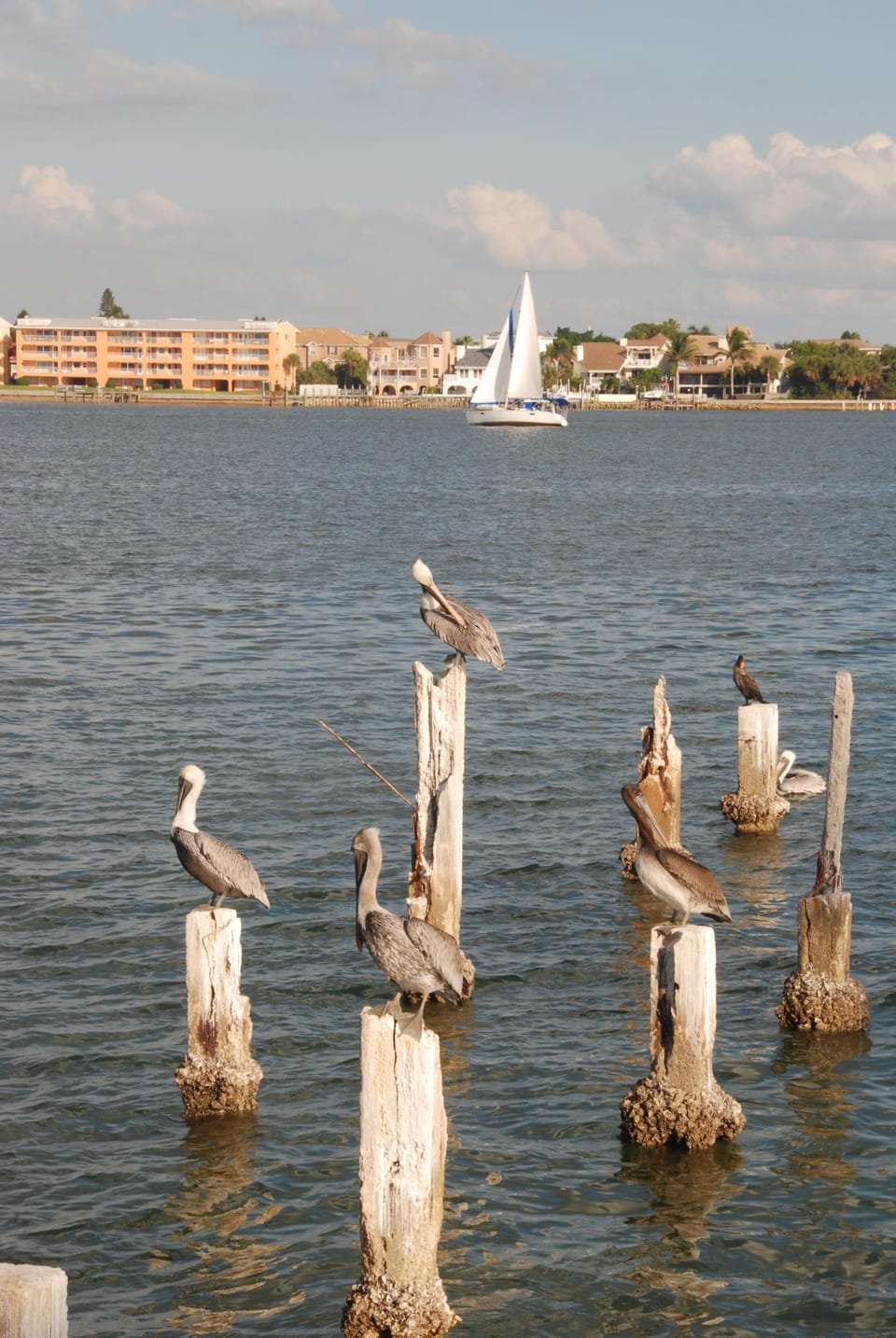 excellent views on the intercostal 