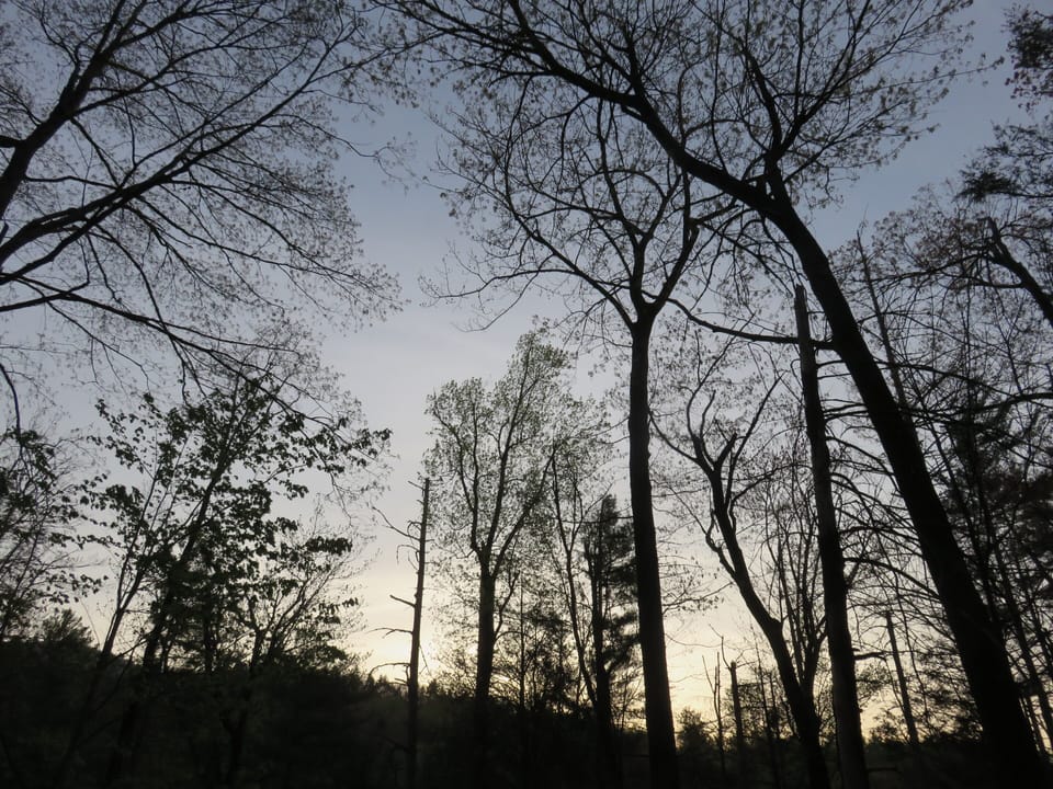 Sunrise view from Casa.