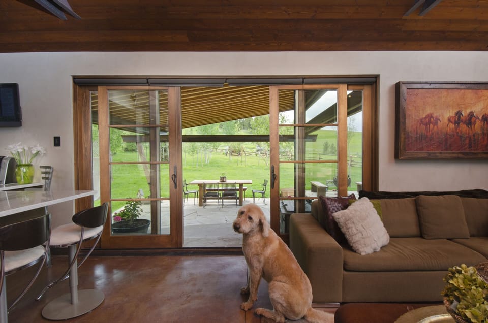 Living Room view to second outdoor living space.  (Dog not included)