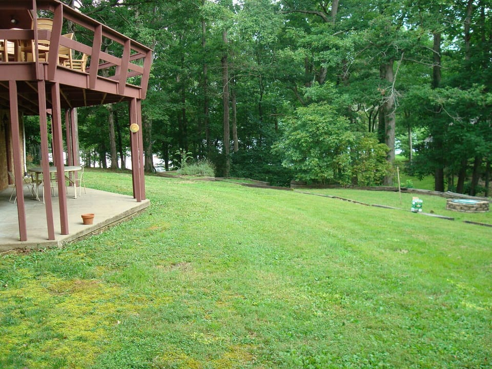 Walk out patio and fire pit