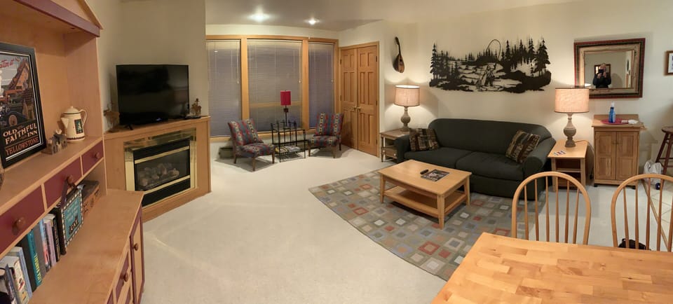 Living room with Queen sized pull out couch