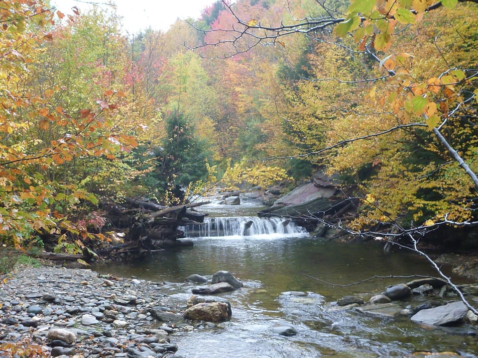 Stream on Morse Mill property