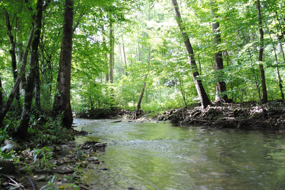 Creek runs the length of property