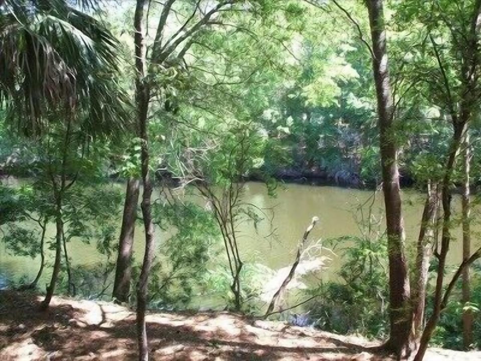 View of Lagoon from balcony