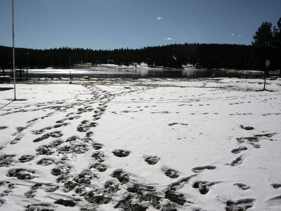 Monte Verde Lake
(Appx. 2.5 Miles from Cabin)