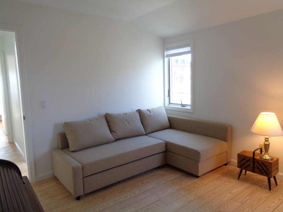 1st Guest Bedroom, single bed and pull out couch sleeps two