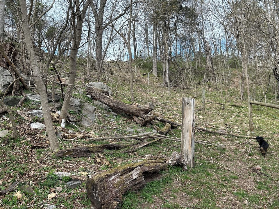 Trail leading to Cottage