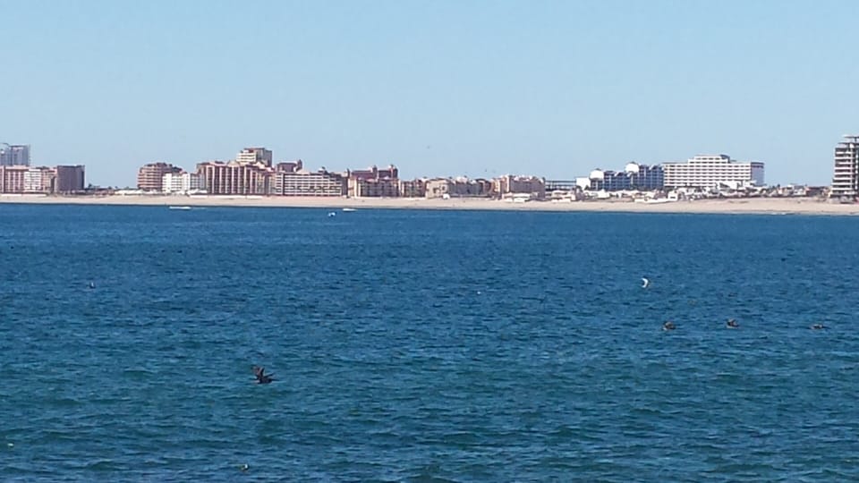 downtown view of condos