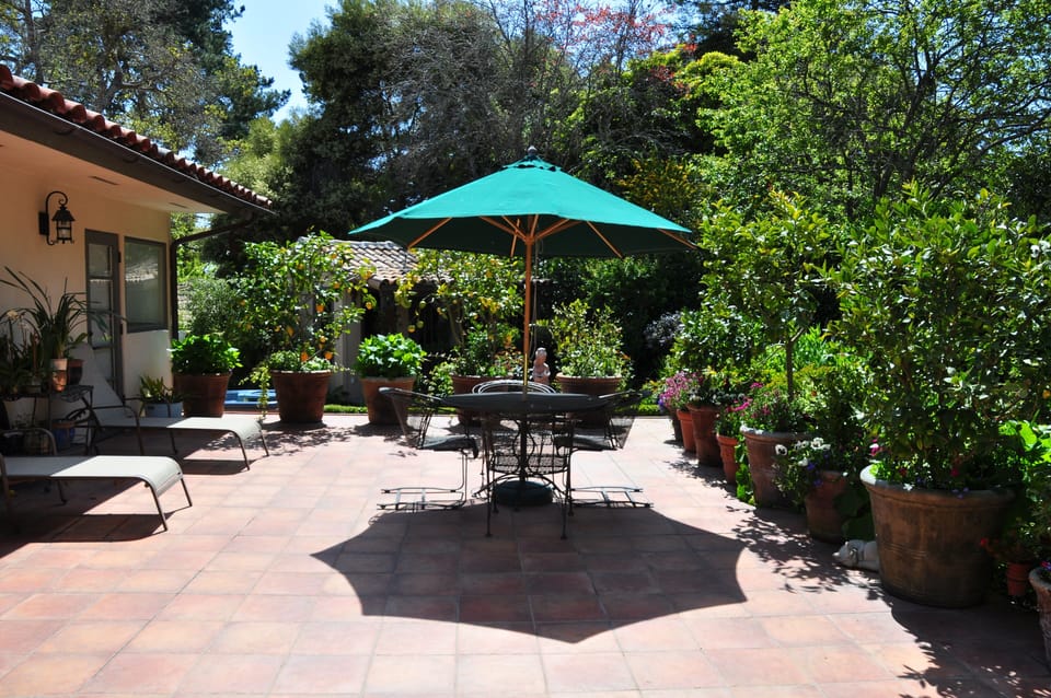 Back patio 
