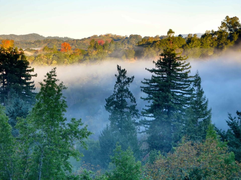 Mists rising in the valley, as seen from the porch. 