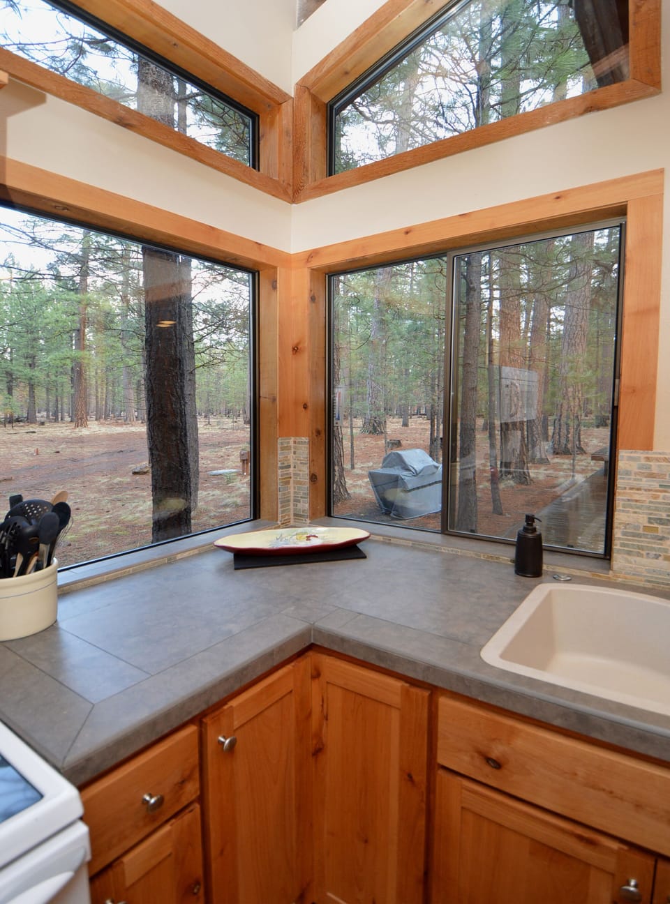 Full view of the BBQ area and national forest from the kitchen.