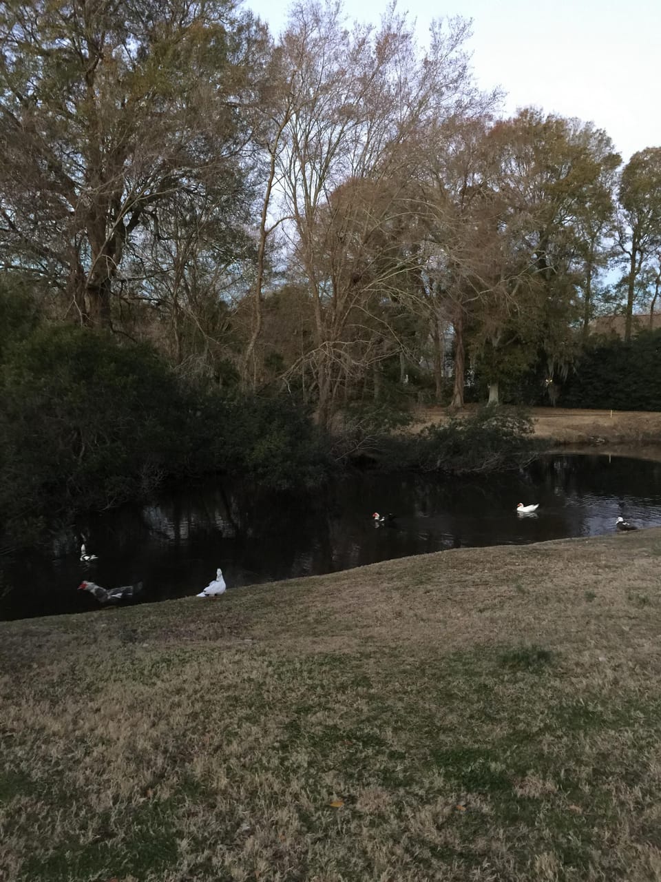 Waterway next to condo