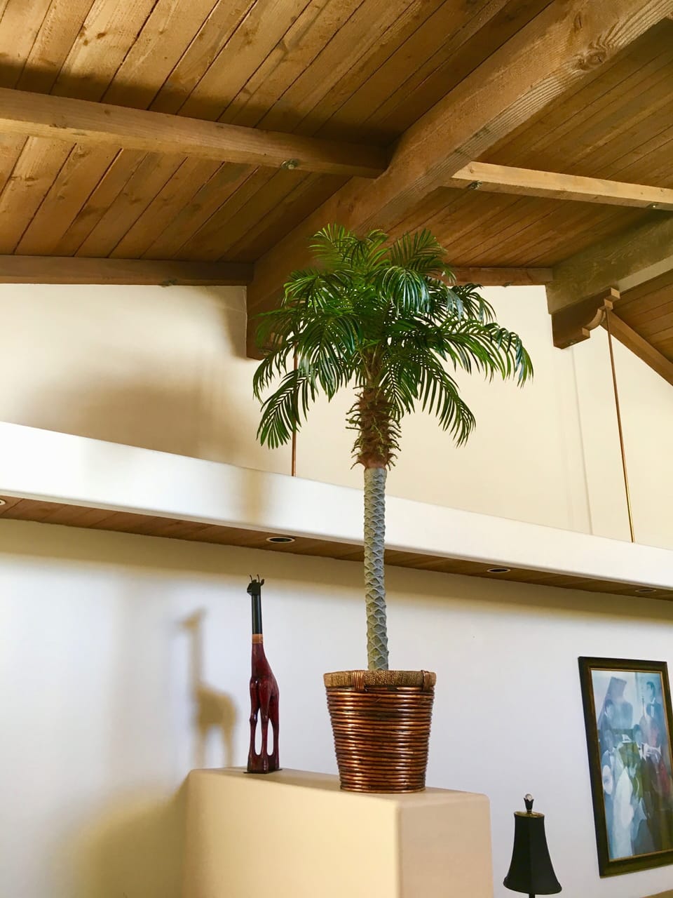 Beautiful wood ceilings