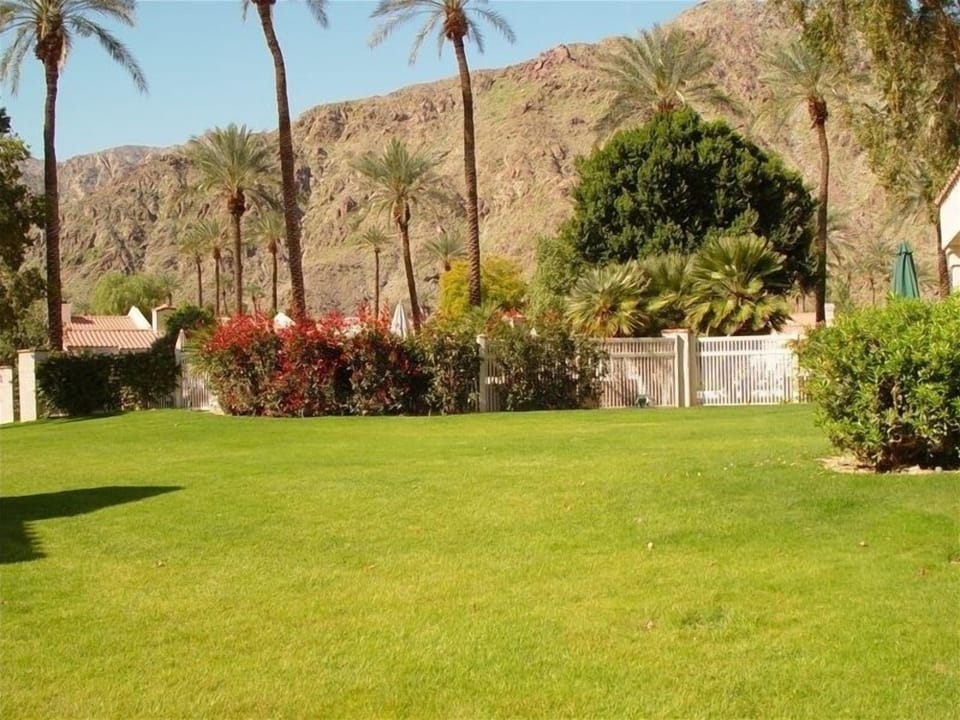 Mountain view from the back patio & gated swimming pool