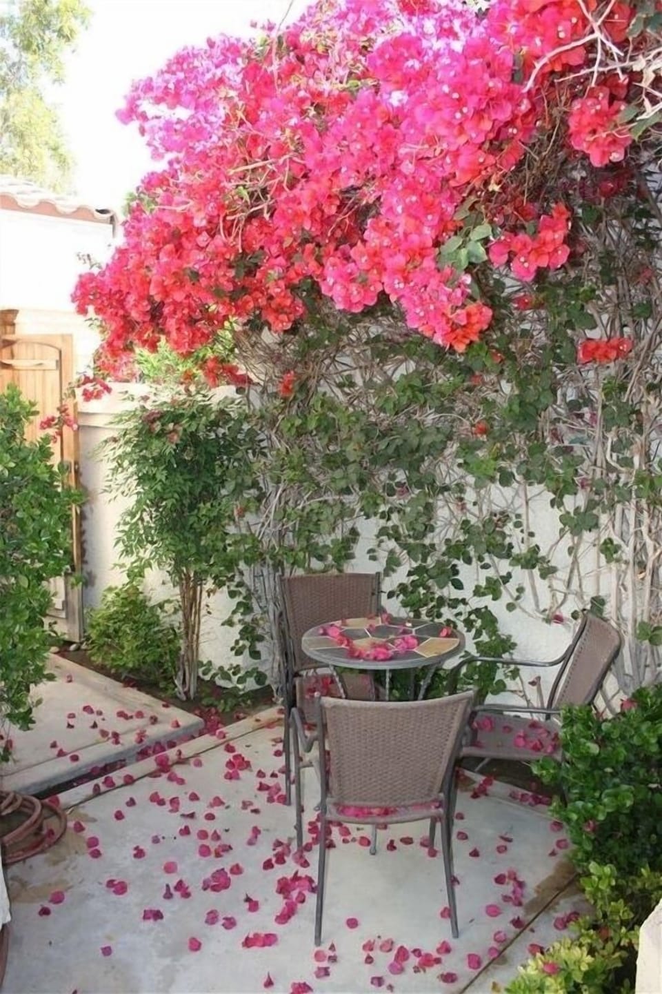 Bistro table in the private courtyard.