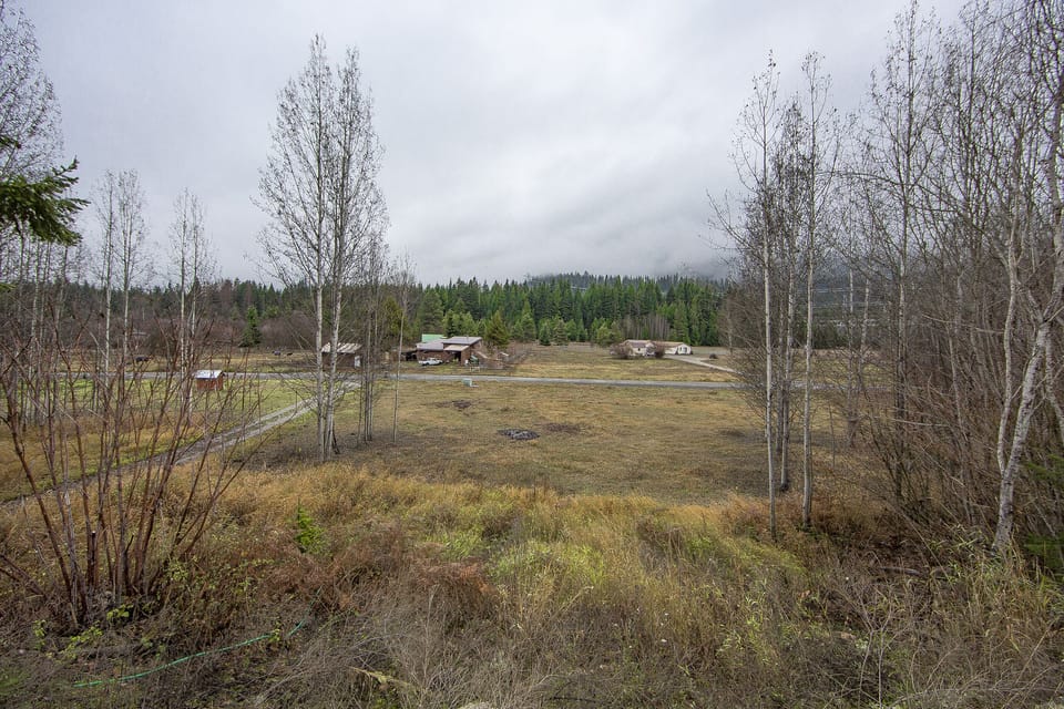 view from patio