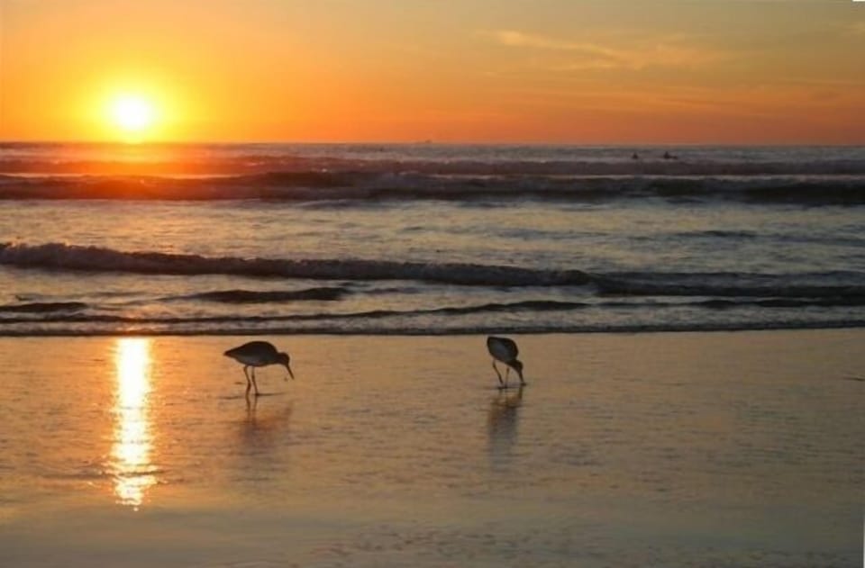 YES! THIS IS WHAT IT IS ALL ABOUT!  Sunsets are the best way to end the day!