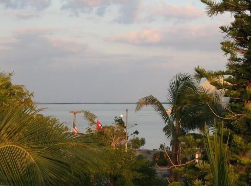 BAY view from Roof Deck.  We are equally near GULF to west but trees block view.