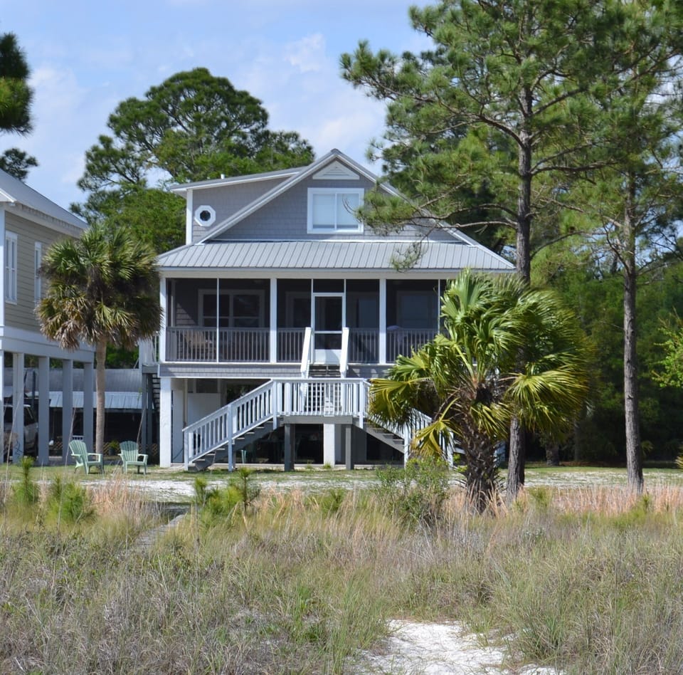 Sea Palms from the beach path.
