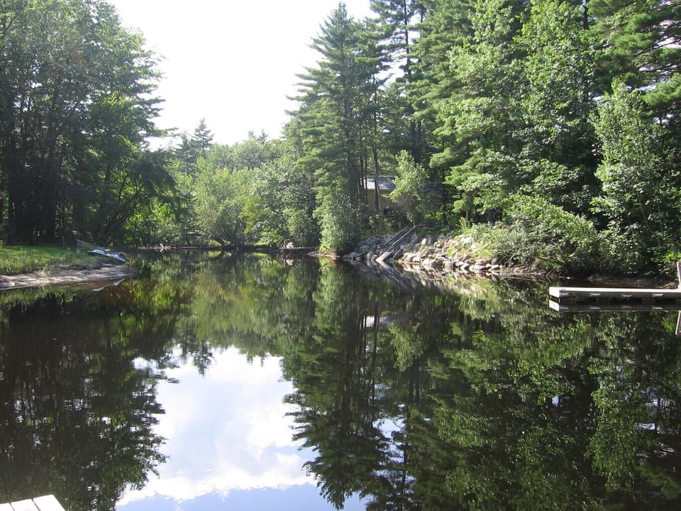 View of the river from the dock.
