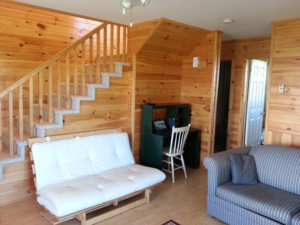 Den with futon which sleeps 2