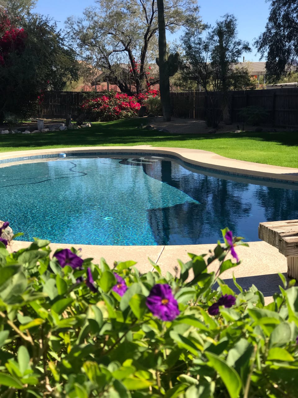 Beautiful newly remodeled pool and lush fenced back yard. Ahh so relaxing