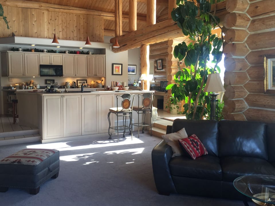 vaulted ceilings in kitchen, dining room, living room and both bedrooms!