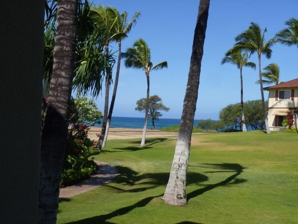 View from lanai