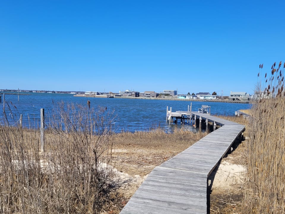 Private Bay Dock for swimming and kayaking
