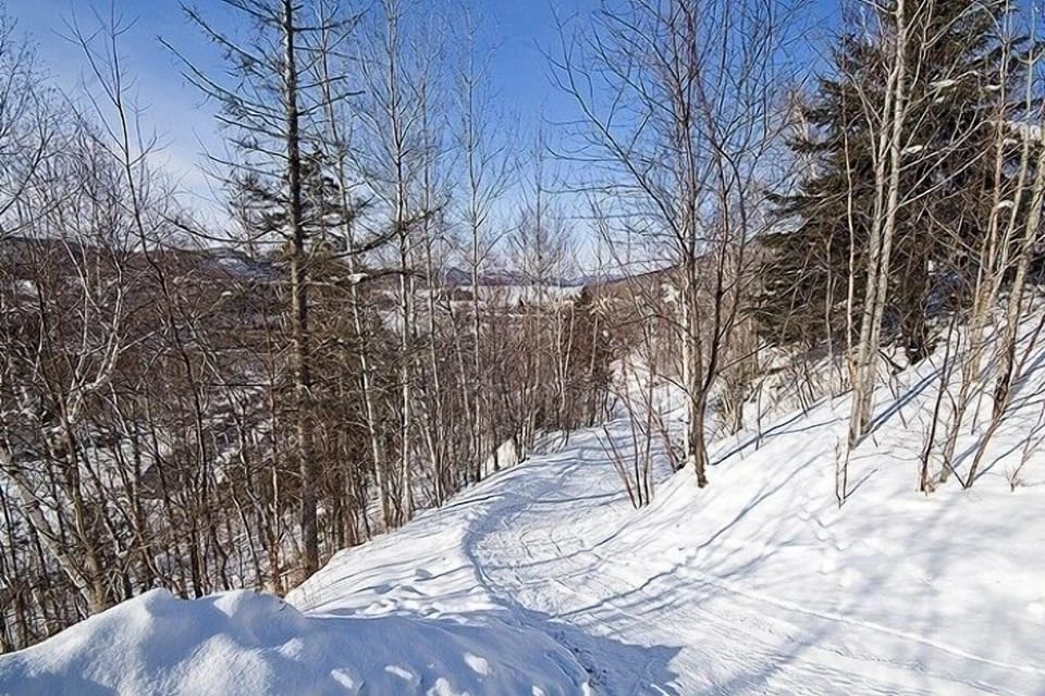 Ski out trail for intermediate skiers (depending on mother nature)