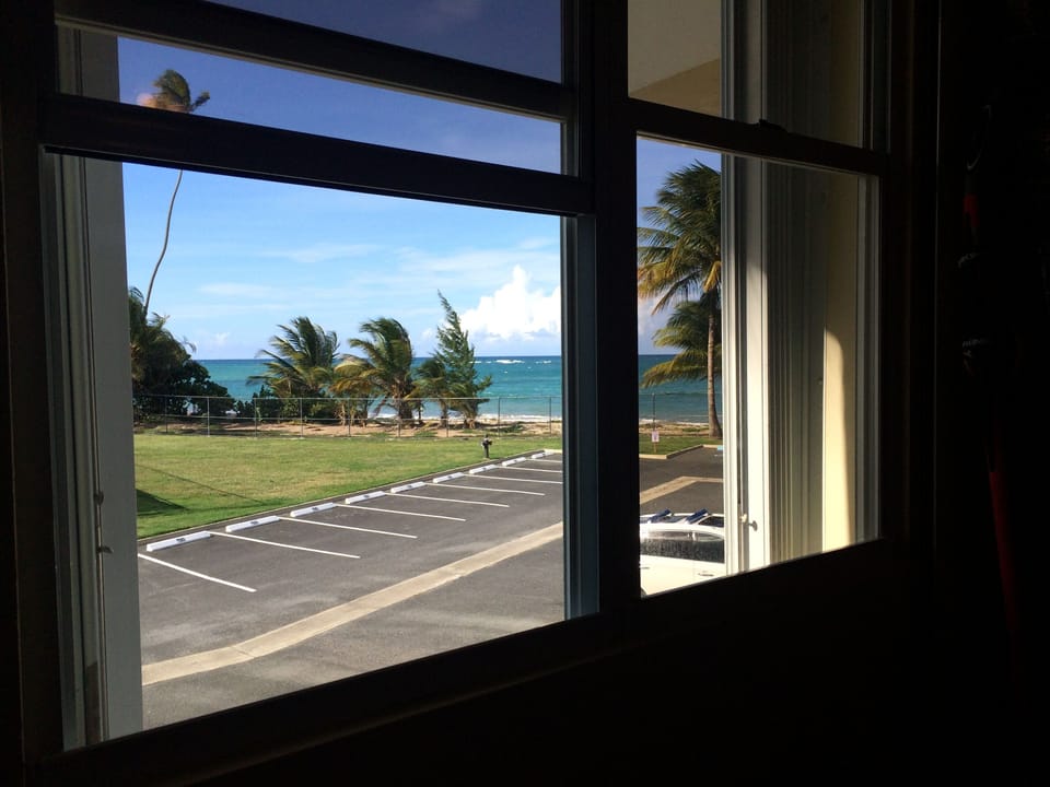 Master Bedroom Window