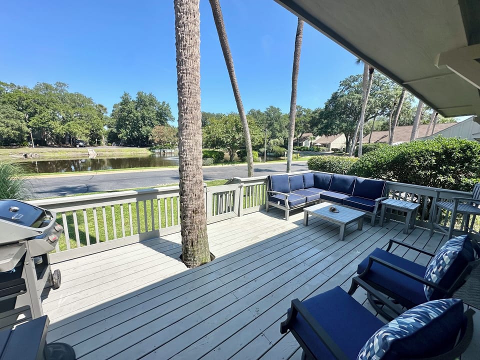 Your view from the deck - hanging out under the palms. Weber gas grill.  