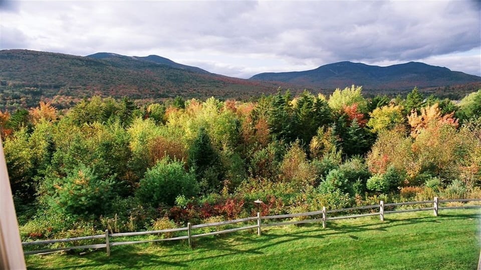 View from the porch!