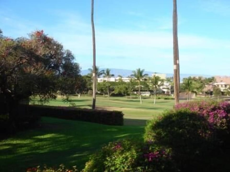 Your view from the lanai