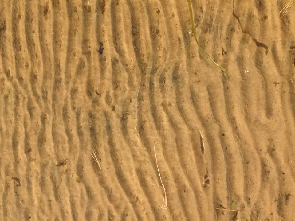 Sand under the water at the our shore front